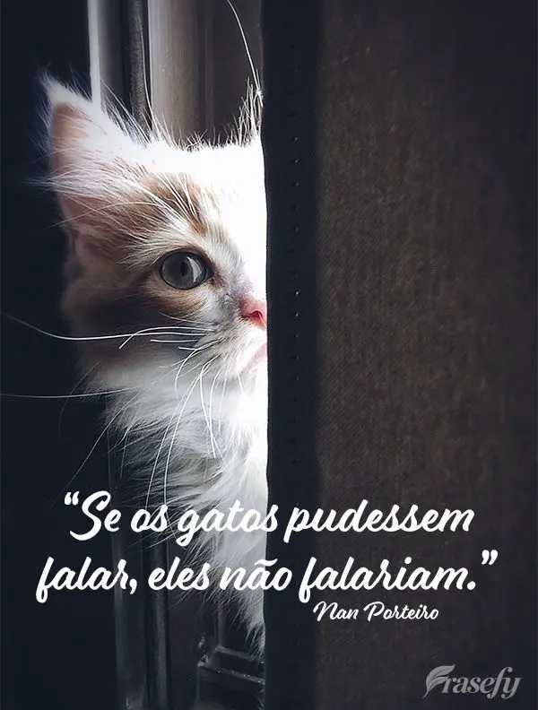 "Se os gatos pudessem falar, eles não falariam." Nan Porteiro