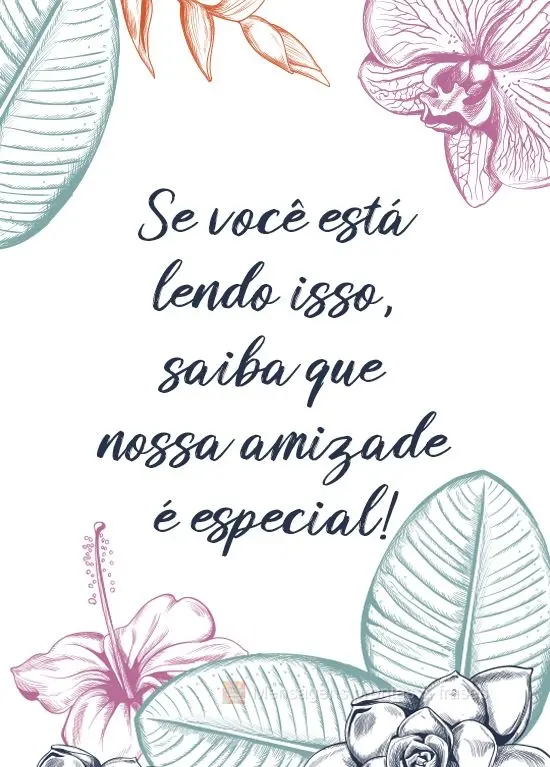 Se você está lendo isso, saiba que nossa amizade é especial!
