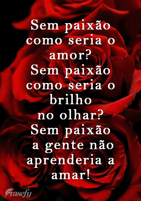 Sem paixão como seria o amor? Sem paixão como seria o brilho no olhar? Sem paixão a gente não aprenderia a amar!

