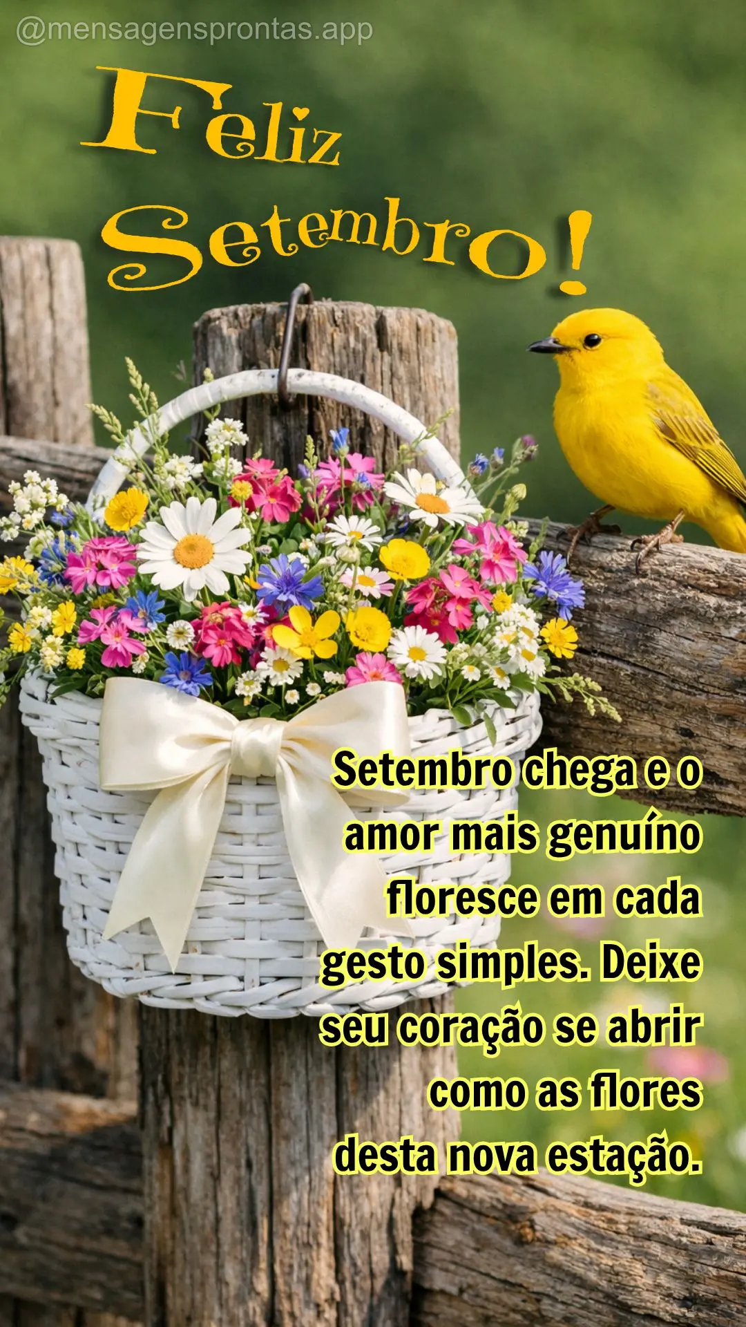 Setembro chega e o amor mais genuíno floresce em cada gesto simples. Deixe seu coração se abrir como as flores desta nova estação. Feliz Setembro!...