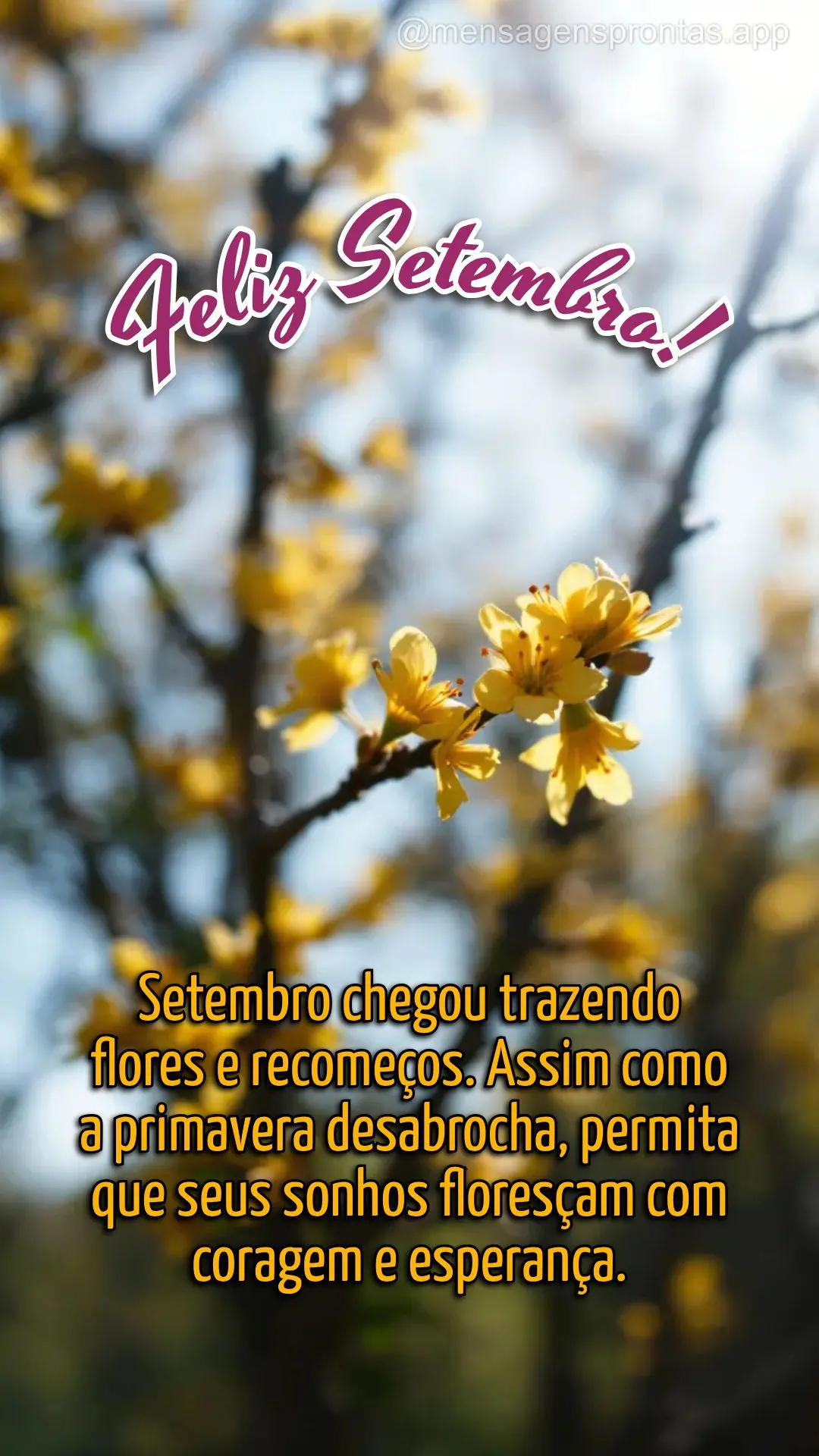 Setembro chegou trazendo flores e recomeços. Assim como a primavera desabrocha, permita que seus sonhos floresçam com coragem e esperança. Feliz Setem...