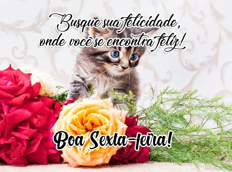Busque sua felicidade onde você se encontra feliz! 
 Boa Sexta-feira!
