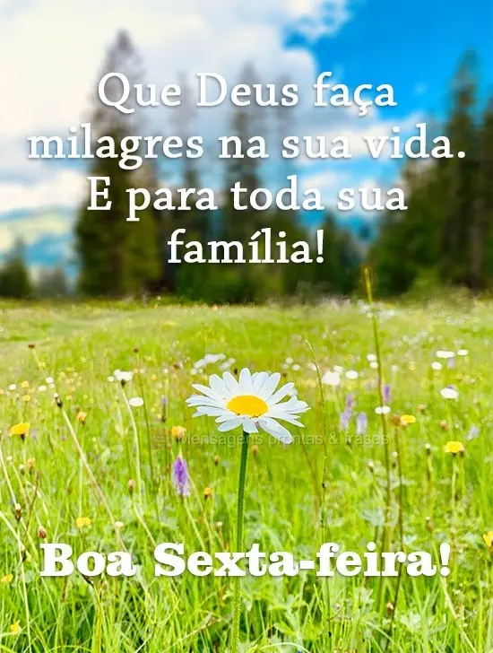 Que Deus faça milagres na sua vida. E para toda sua família!!
  Boa Sexta-feira