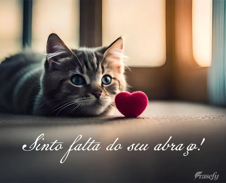 Sinto falta do seu abraço!