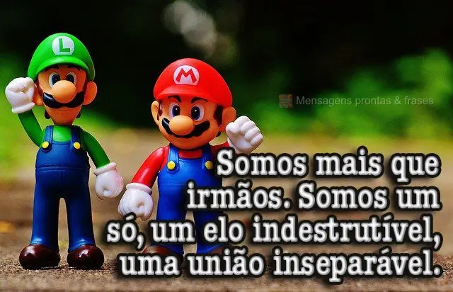 Somos mais que irmãos. Somos um só, um elo indestrutível, uma união inseparável.
