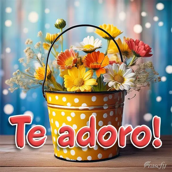 Te adoro!