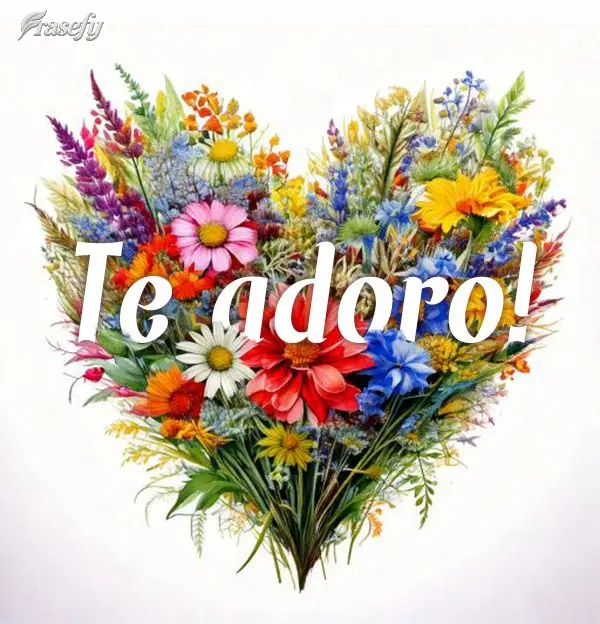 Te adoro!