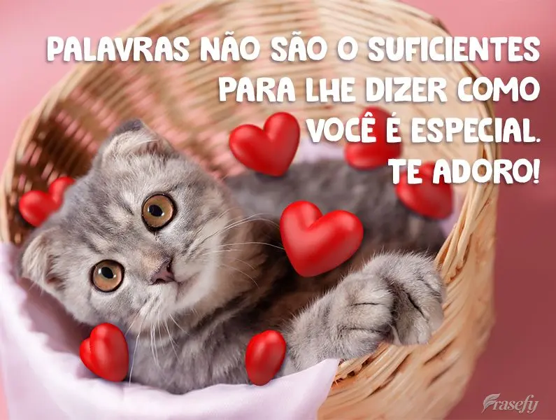 Palavras não são  suficientes para lhe dizer como você é especial. 
 Te adoro!