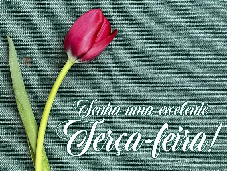 Tenha uma excelente Terça-feira!
