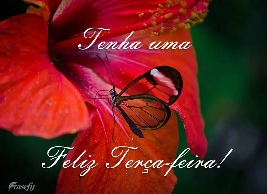 Tenha uma Feliz Terça-feira!