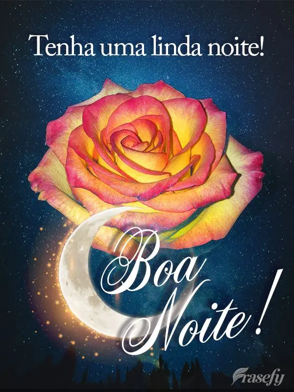 Tenha uma linda noite! Boa noite!