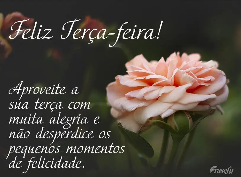 Aproveite a sua terça com muita alegria e não desperdice os pequenos momentos de felicidade. Feliz Terça-feira! 