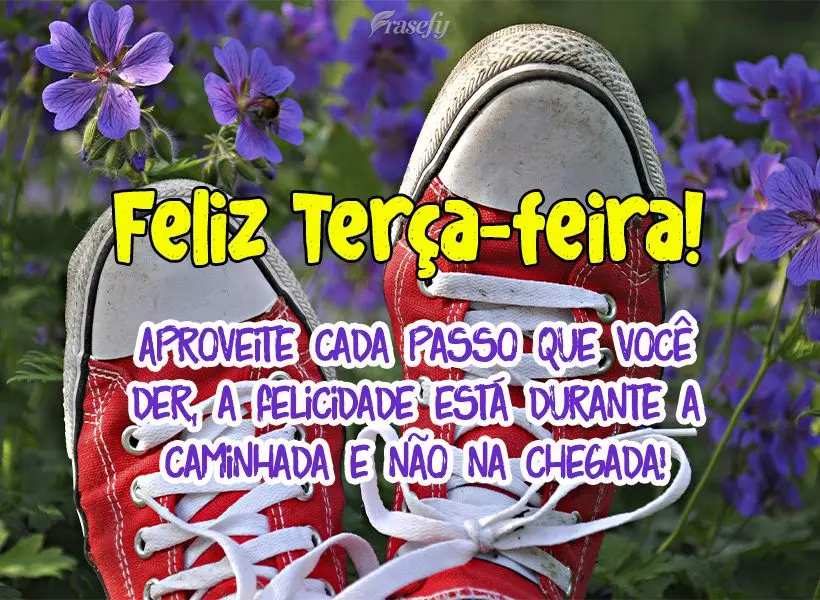 Aproveite cada passo que você der, a felicidade está durante a caminhada e não na chegada! Feliz Terça-feira! 