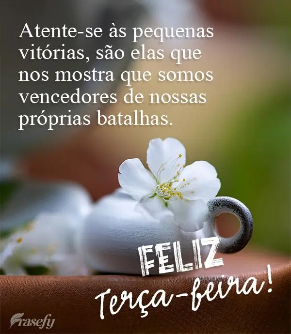 Atente-se às pequenas vitórias, são elas que nos mostra que somos vencedores de nossas próprias batalhas. Feliz Terça-feira!