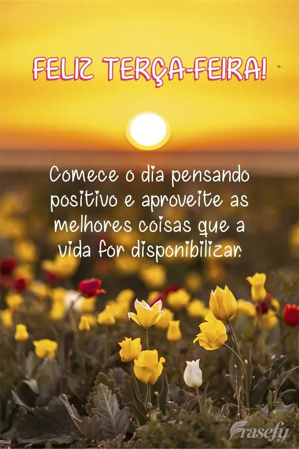 Comece o dia pensando positivo e aproveite as melhores coisas que a vida for disponibilizar. Feliz Terça-feira!