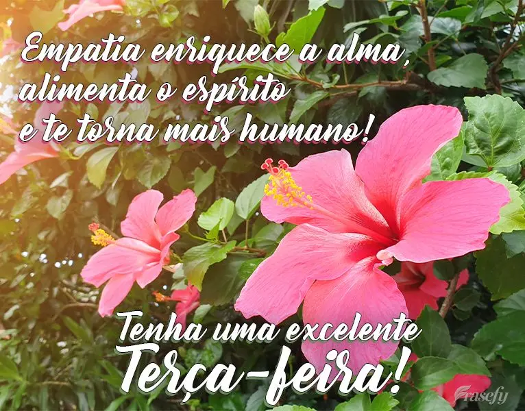 Empatia enriquece a alma, alimenta o espírito e te torna mais humano! 
 Tenha uma excelente Terça-feira!