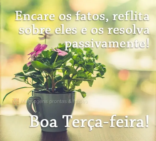 Encare os fatos, reflita sobre eles e os resolva passivamente! 
 Boa Terça-feira!