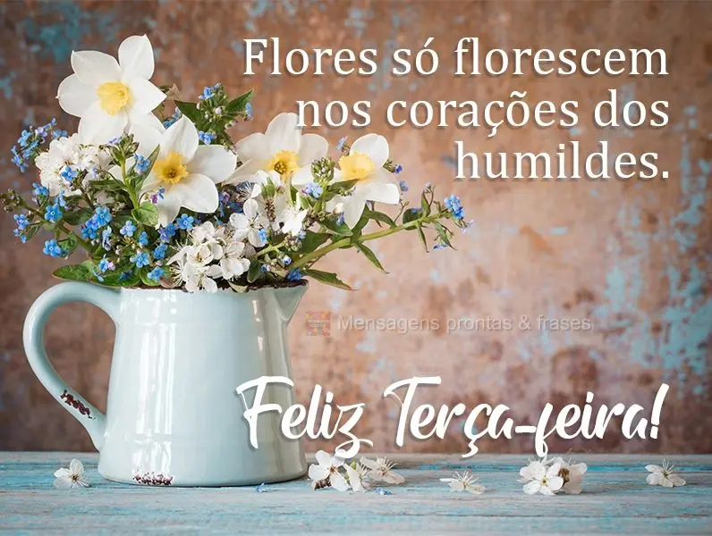 Flores só florescem nos corações dos humildes. 
 Feliz Terça-feira!