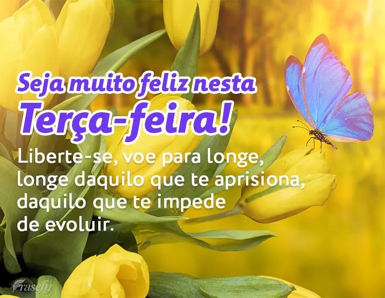 Liberte-se, voe para longe, longe daquilo que te aprisiona, daquilo que te impede de evoluir.  Seja muito feliz nesta Terça-feira!