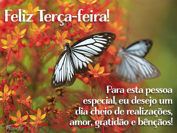 Para esta pessoa especial eu desejo um dia cheio de realizações, amor, gratidão e bênçãos! Feliz Terça-feira!