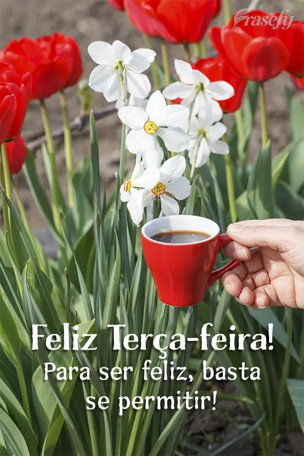 Para ser feliz, basta se permitir! Feliz Terça-feira!