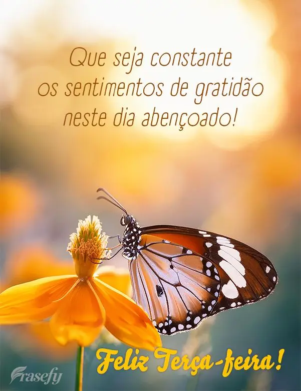 Que seja constante os sentimentos de gratidão neste dia abençoado! Feliz Terça-feira!