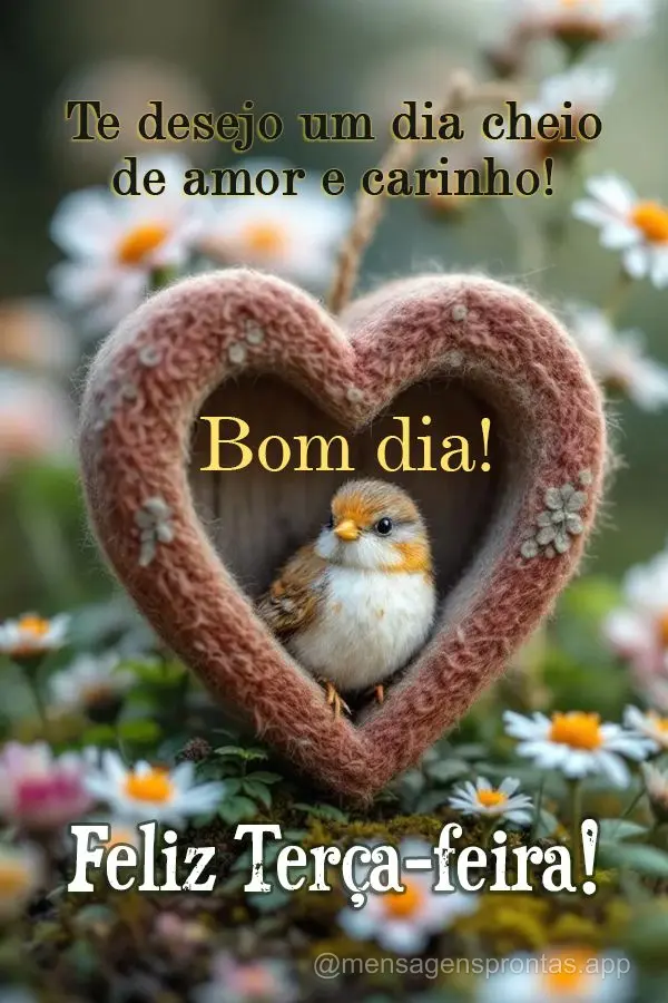Te desejo um dia cheio de amor e carinho! Bom dia! Feliz Terça-feira!
