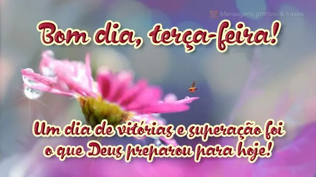  Um dia de vitórias e superação foi o que Deus preparou para hoje! 
 Bom dia, terça-feira!