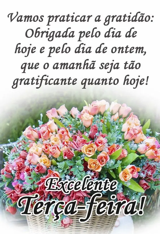 Vamos praticar a gratidão: Obrigada pelo dia de hoje e pelo dia de ontem, que o amanhã seja tão gratificante quanto hoje! 
 Excelente terça-feira!...