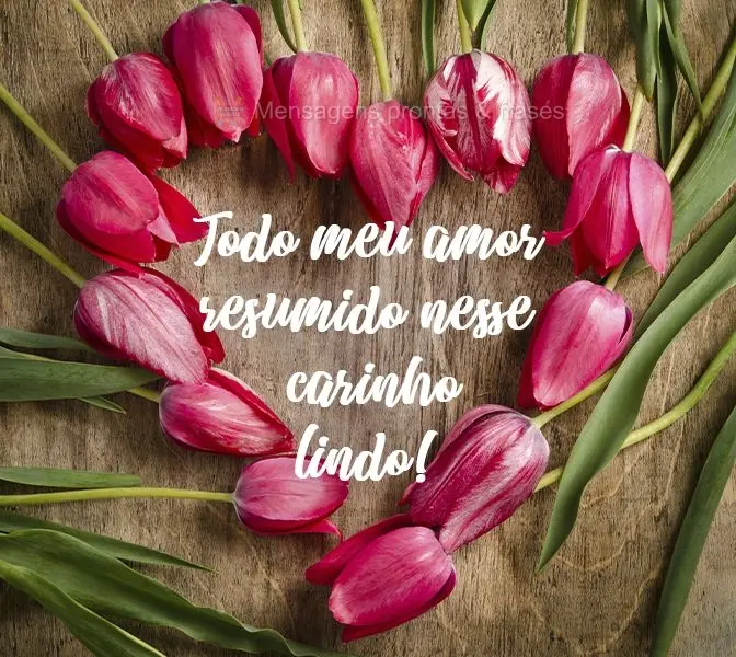 Todo meu amor resumido nesse carinho lindo!

