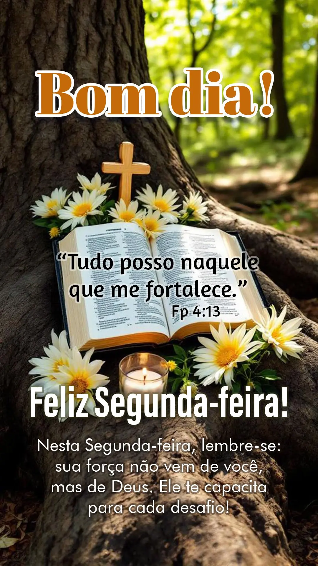 "Tudo posso naquele que me fortalece." Fp 4:13 💪✨
Nesta segunda-feira, lembre-se: sua força não vem de você, mas de Deus. Ele te capacita para ca...
