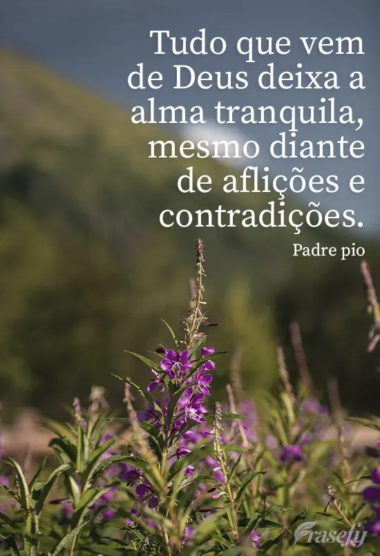Tudo que vem de Deus deixa a alma tranquila, mesmo diante de aflições e contradições. 
 Padre pio