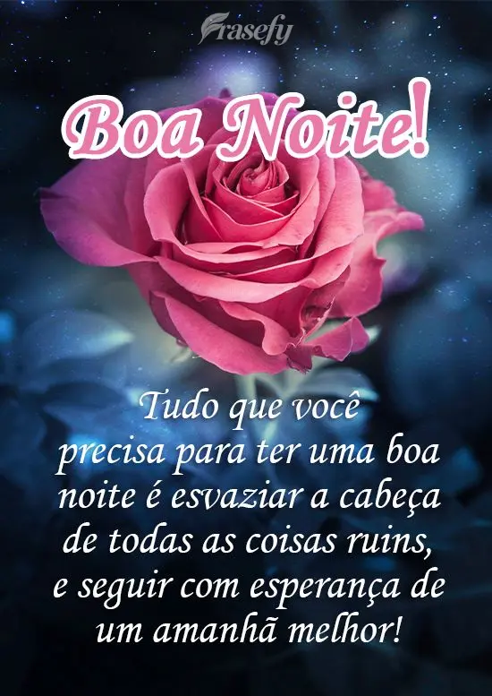 Tudo que você precisa para ter uma boa noite é esvaziar a cabeça de todas as coisas ruins, e seguir com a esperança de um amanhã melhor! 
 Boa Noit...