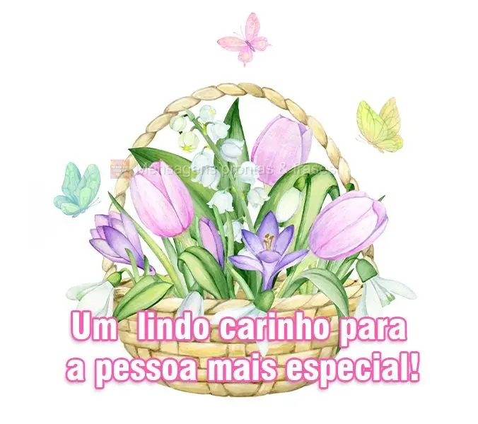 Um lindo carinho para a pessoa mais especial!
