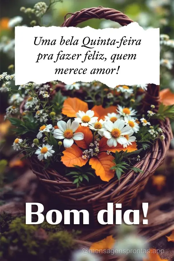 Uma bela Quinta-feira pra fazer feliz, quem merece amor! Bom dia!