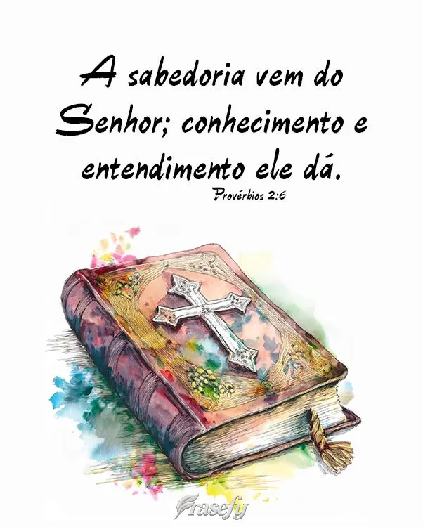 A sabedoria vem do Senhor; conhecimento e entendimento ele dá. Provérbios 2:6