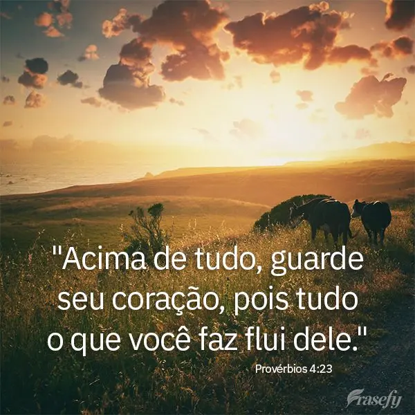 "Acima de tudo, guarde seu coração, pois tudo o que você faz flui dele." Provérbios 4:23