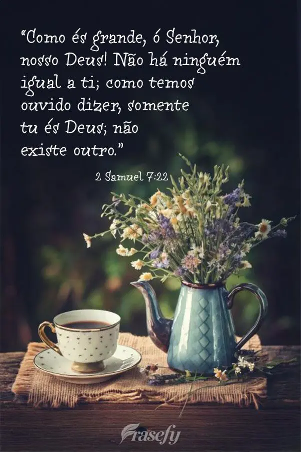 “Como és grande, ó Senhor, nosso Deus! Não há ninguém igual a ti; como temos ouvido dizer, somente tu és Deus; não existe outro.” 2 Samuel 7:2...