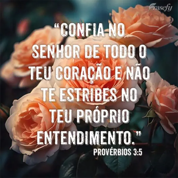 "Confia no Senhor de todo o teu coração e não te estribes no teu próprio entendimento." Provérbios 3:5