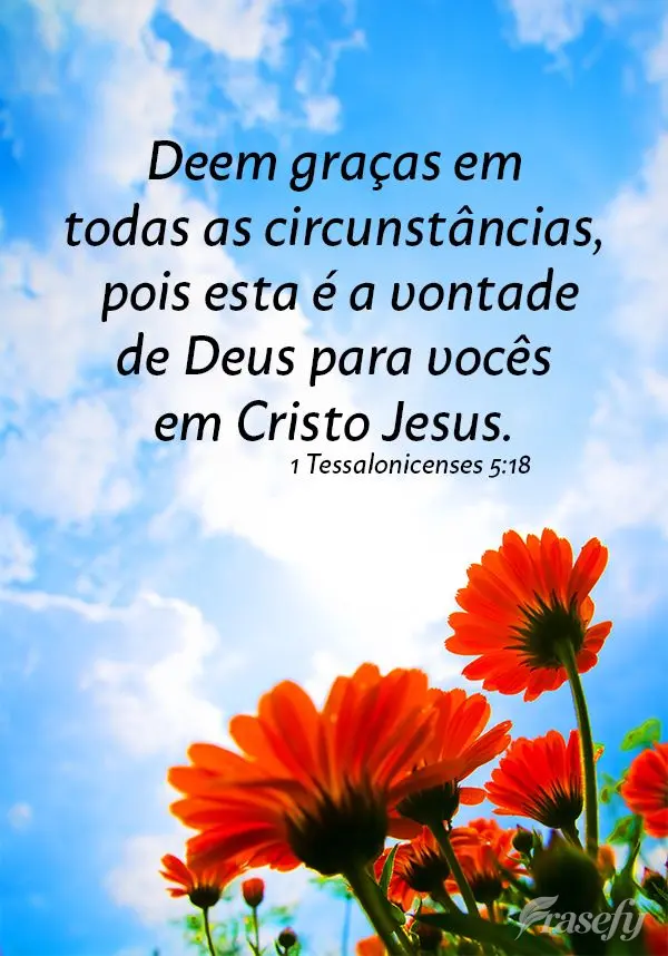 Deem graças em todas as circunstâncias, pois esta é a vontade de Deus para vocês em Cristo Jesus. 1 Tessalonicenses 5:18