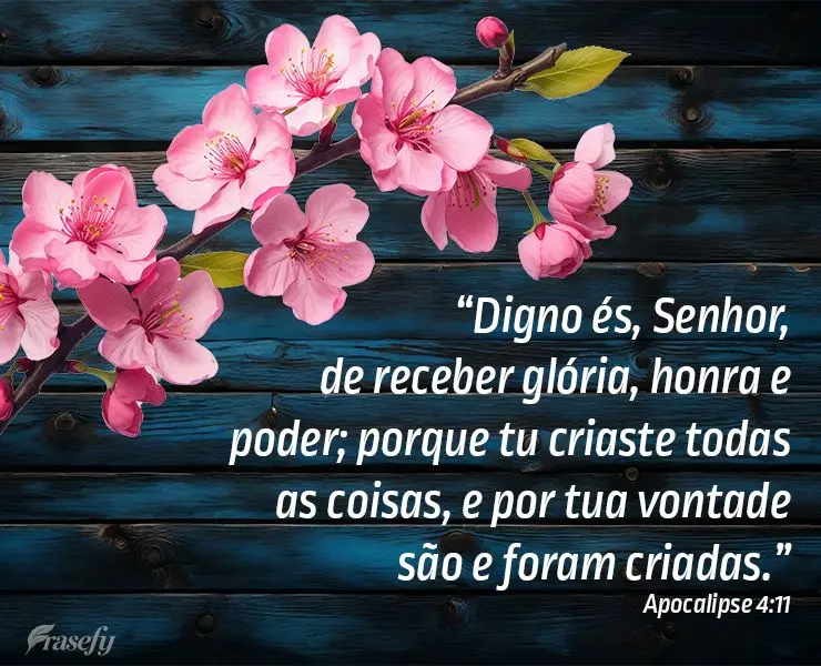 “Digno és, Senhor, de receber glória, honra e poder; porque tu criaste todas as coisas, e por tua vontade são e foram criadas.”  Apocalipse 4:11...