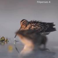 E a paz de Deus, que excede todo entendimento, guardará o vosso coração e a vossa mente em Cristo Jesus. Filipenses 4:7