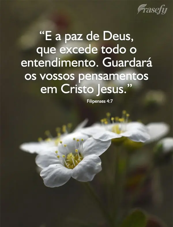 “E a paz de Deus, que excede todo o entendimento guardará os vossos pensamentos em Cristo Jesus.”  Filipenses 4,7