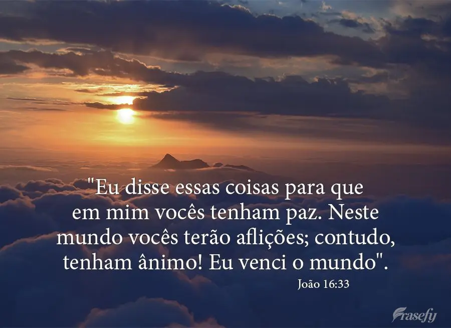 "Eu disse essas coisas para que em mim vocês tenham paz. Neste mundo vocês terão aflições; contudo, tenham ânimo! Eu venci o mundo".  João 16,33...