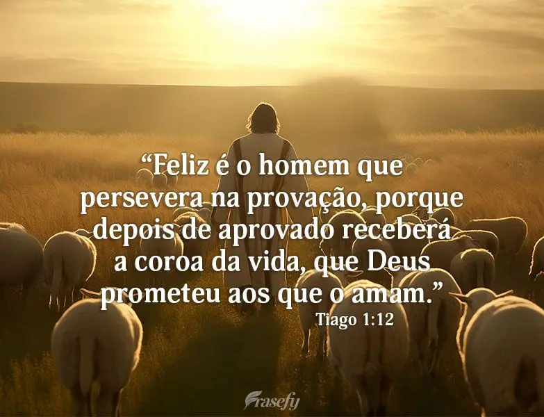 “Feliz é o homem que persevera na provação, porque depois de aprovado receberá a coroa da vida, que Deus prometeu aos que o amam.” Tiago 1:12