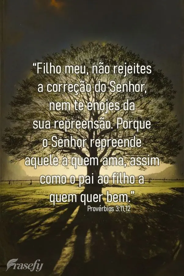“Filho meu, não rejeites a correção do Senhor, nem te enojes da sua repreensão. Porque o Senhor repreende aquele a quem ama, assim como o pai ao fi...