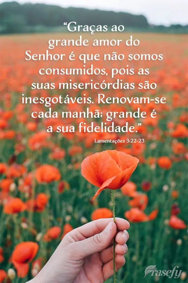 “Graças ao grande amor do Senhor é que não somos consumidos, pois as suas misericórdias são inesgotáveis. Renovam-se cada manhã; grande é a sua...
