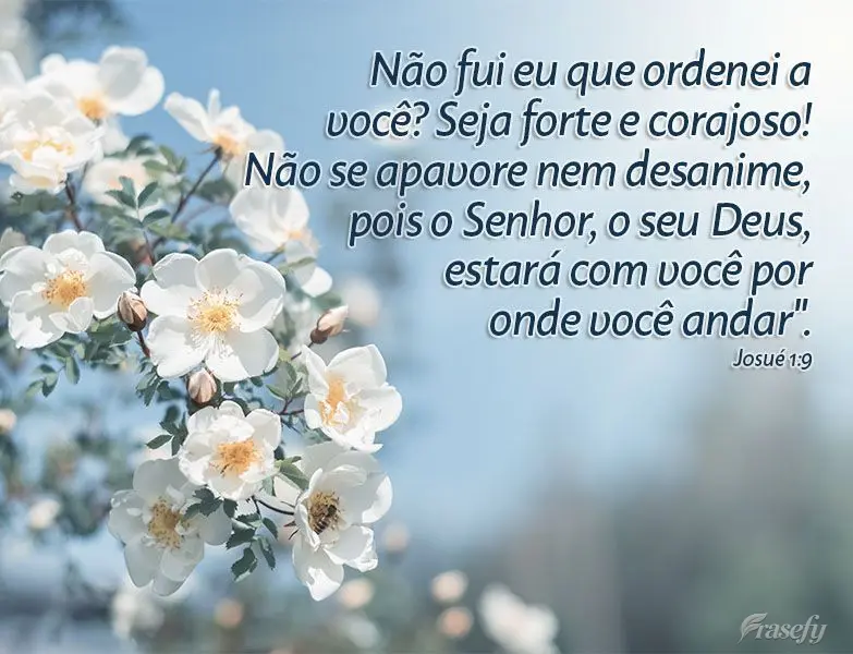"Não fui eu que ordenei a você? Seja forte e corajoso! Não se apavore nem desanime, pois o Senhor, o seu Deus, estará com você por onde você anda."...