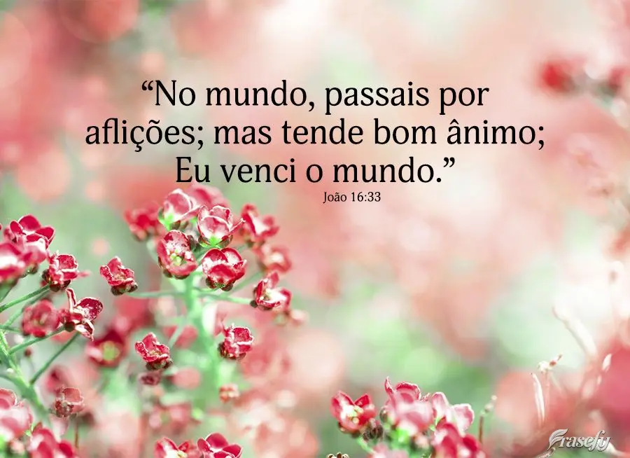 “No mundo, passais por aflições; mas tende bom ânimo; Eu venci o mundo.” João 16,33