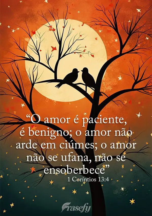 "O amor é paciente, é benigno; o amor não arde em ciúmes; o amor não se ufana, não se ensoberbece."  (1 Coríntios 13:4)